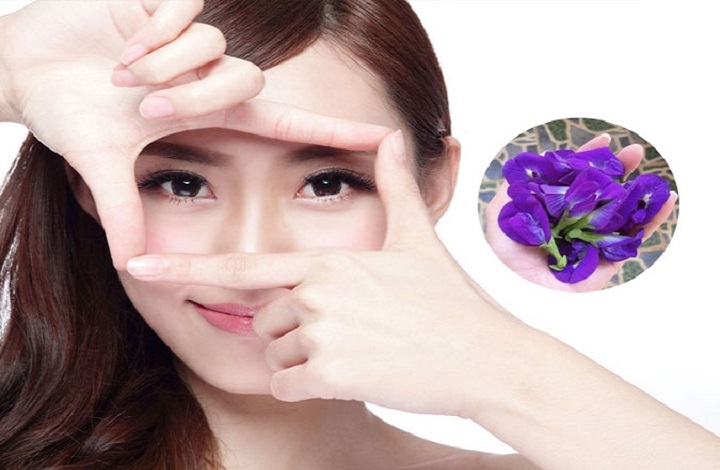 Uống trà hoa đậu biếc giúp da khỏe, đẹp hơn