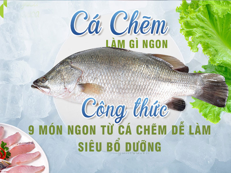 Cá chẽm làm món gì ngon, Top 7 các món ngon từ cá chẽm - SunNa.vn