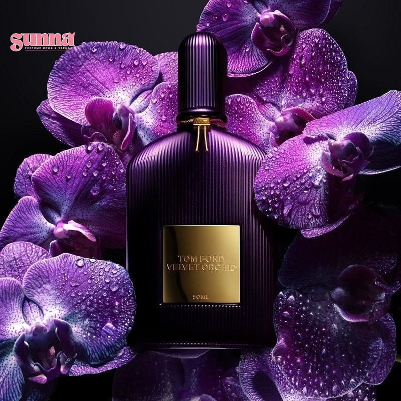 Nước Hoa Tom Ford Velvet Orchid EDP 50ML – Thế Giới Son Môi